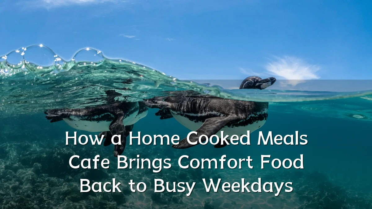 How a Home Cooked Meals Cafe Brings Comfort Food Back to Busy Weekdays