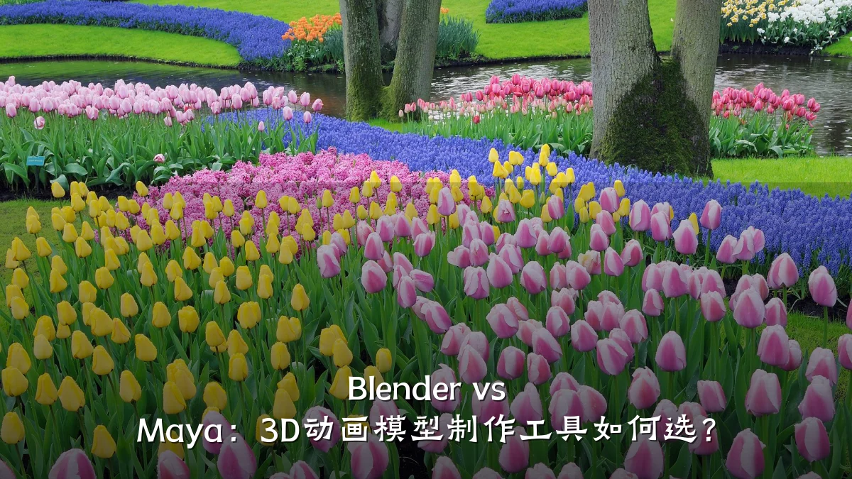 Blender vs Maya:3D动画模型制作工具如何选?