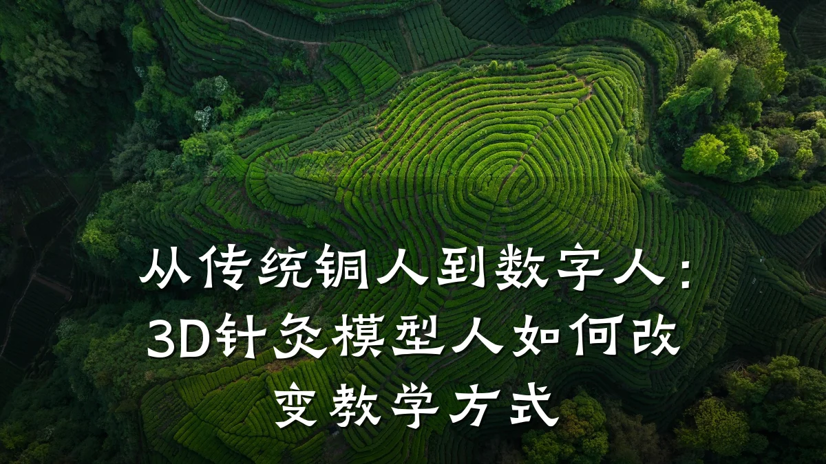 从传统铜人到数字人:3D针灸模型人如何改变教学方式