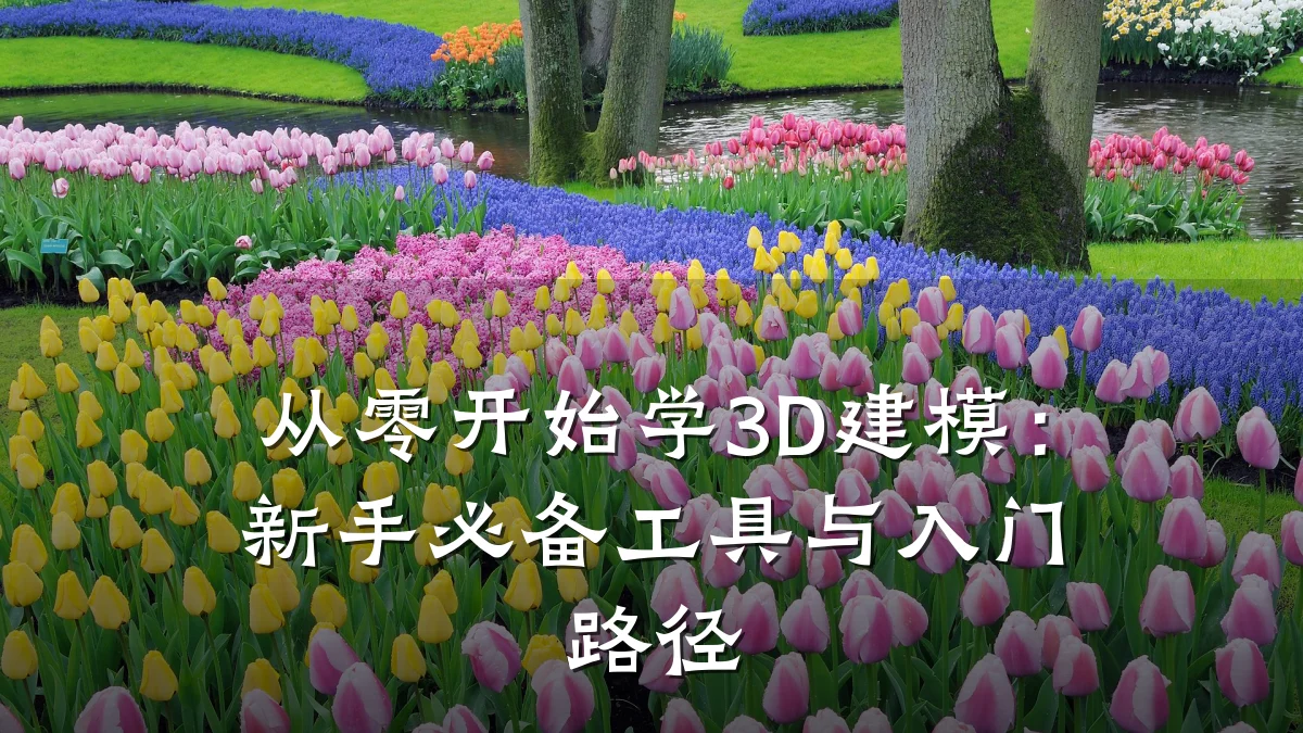 从零开始学3D建模:新手必备工具与入门路径