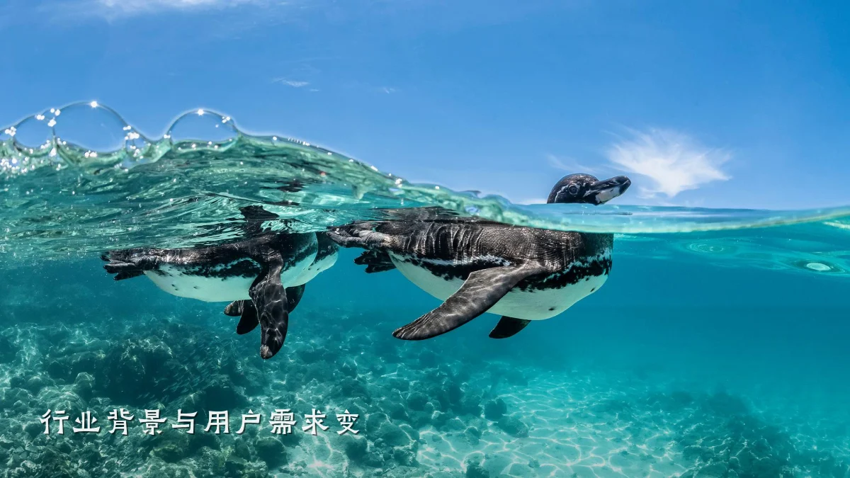 行业背景与用户需求变