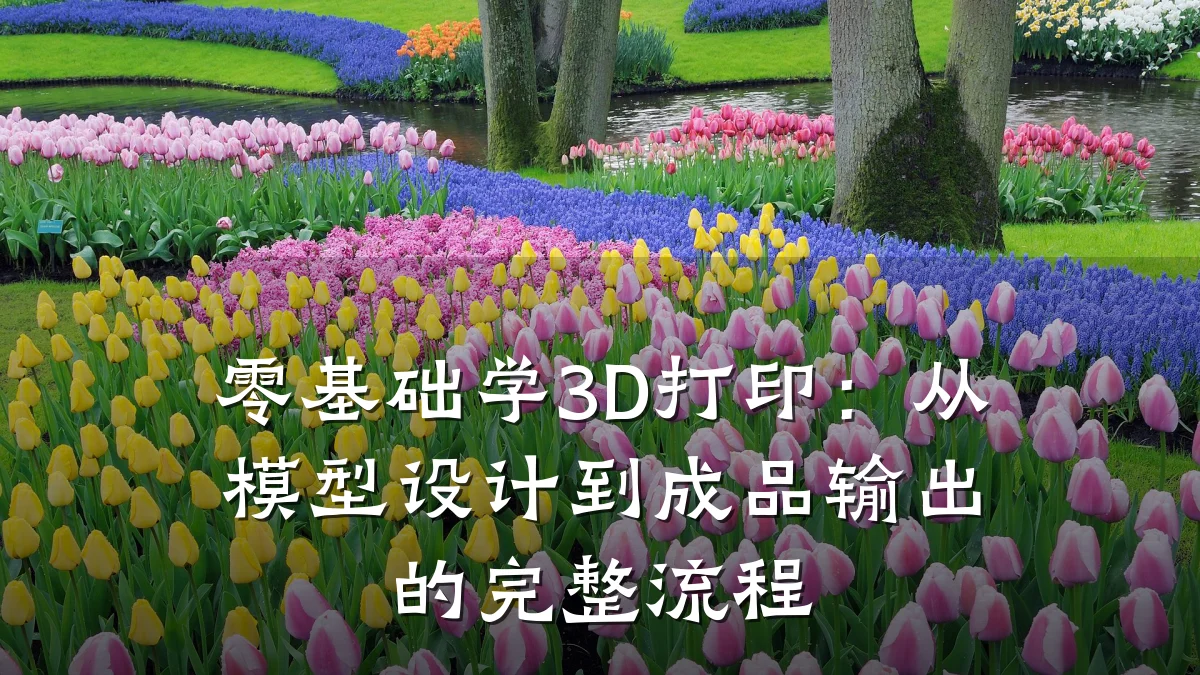 零基础学3D打印:从模型设计到成品输出的完整流程