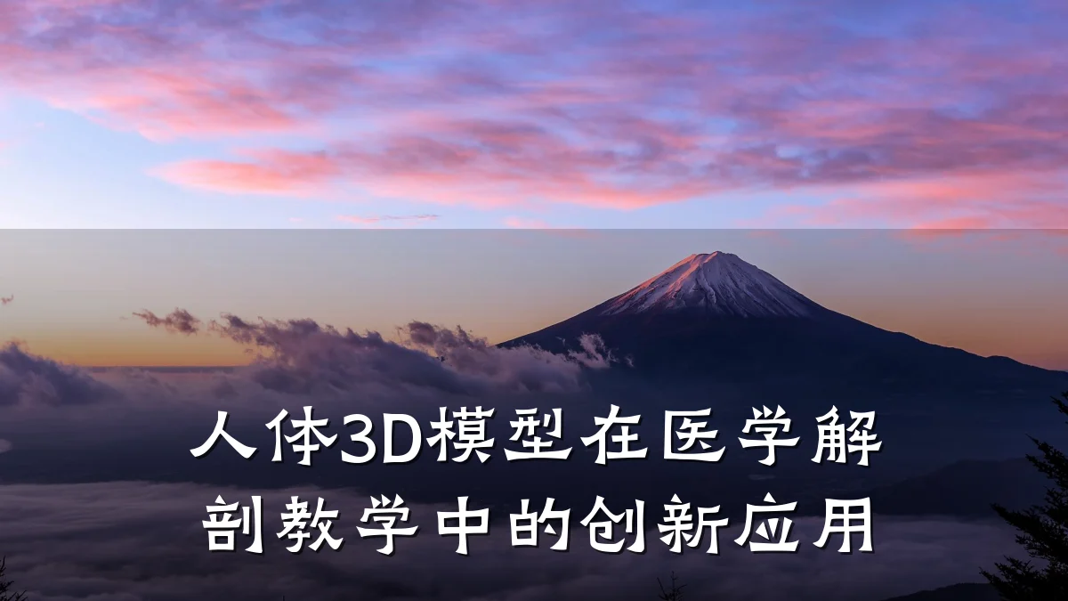 人体3D模型在医学解剖教学中的创新应用