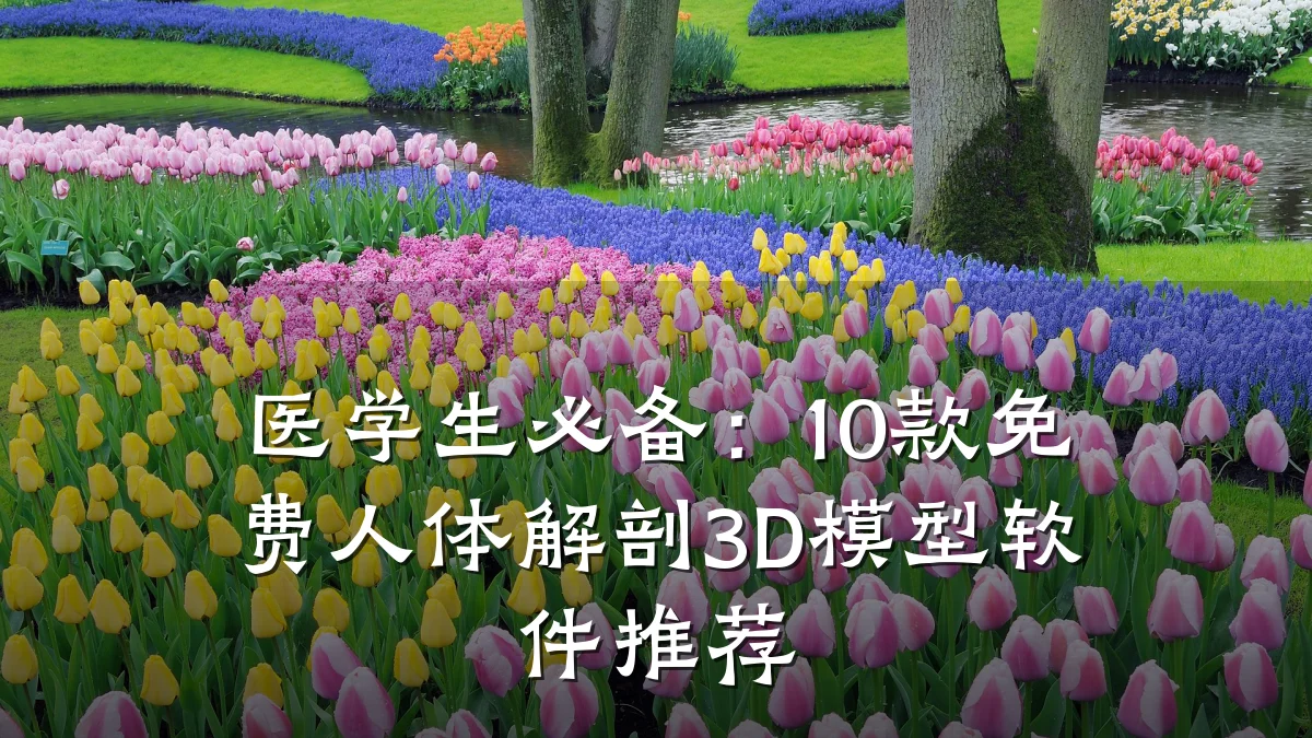 医学生必备：10款免费人体解剖3D模型软件推荐