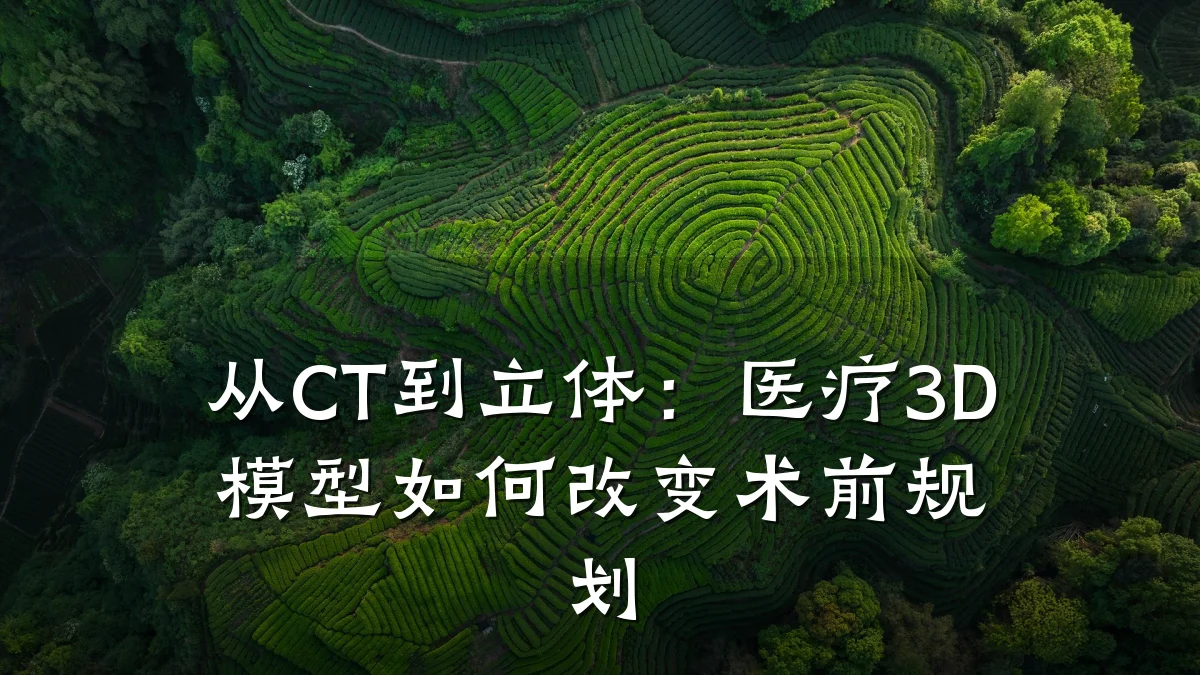从CT到立体：医疗3D模型如何改变术前规划
