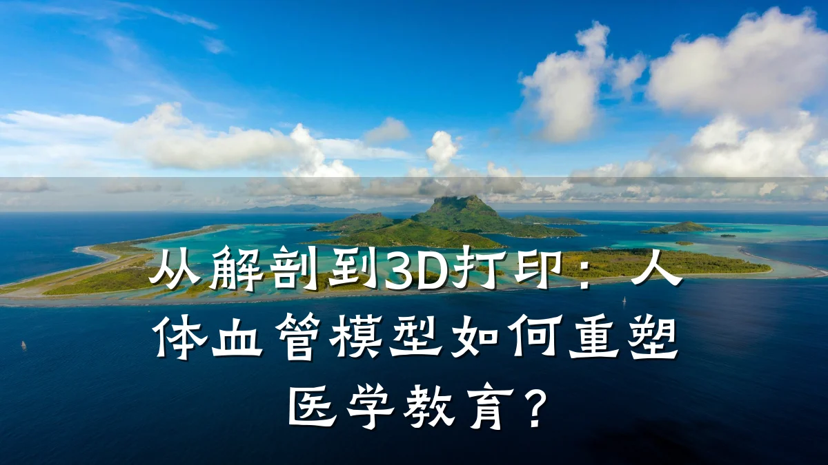 从解剖到3D打印:人体血管模型如何重塑医学教育?