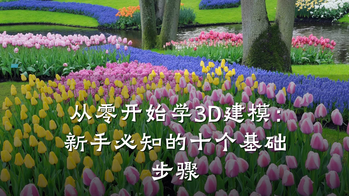 从零开始学3D建模：新手必知的十个基础步骤