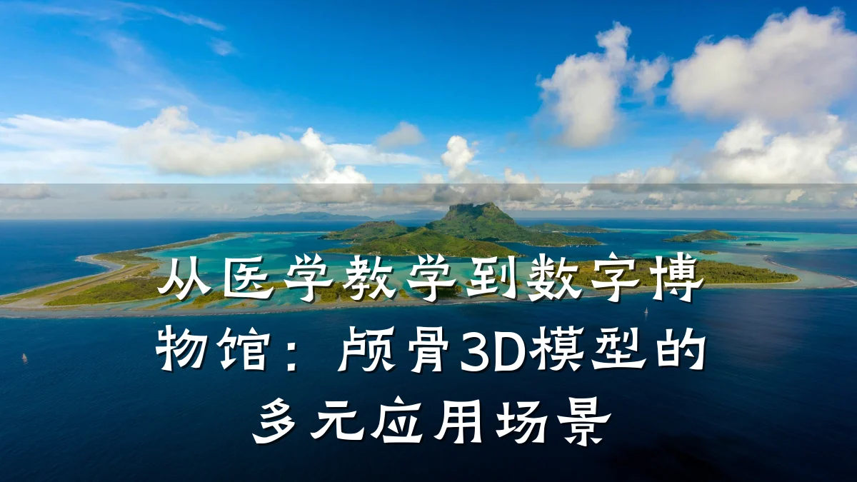 从医学教学到数字博物馆：颅骨3D模型的多元应用场景