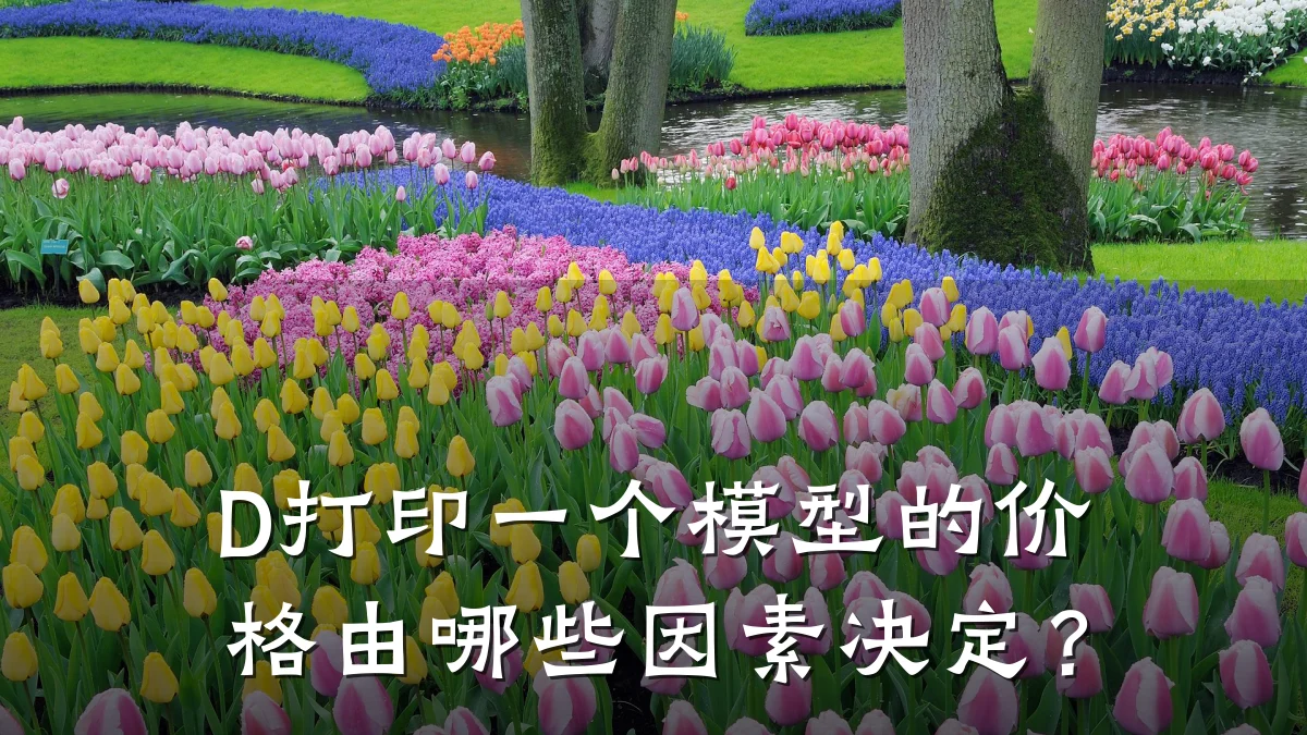D打印一个模型的价格由哪些因素决定?