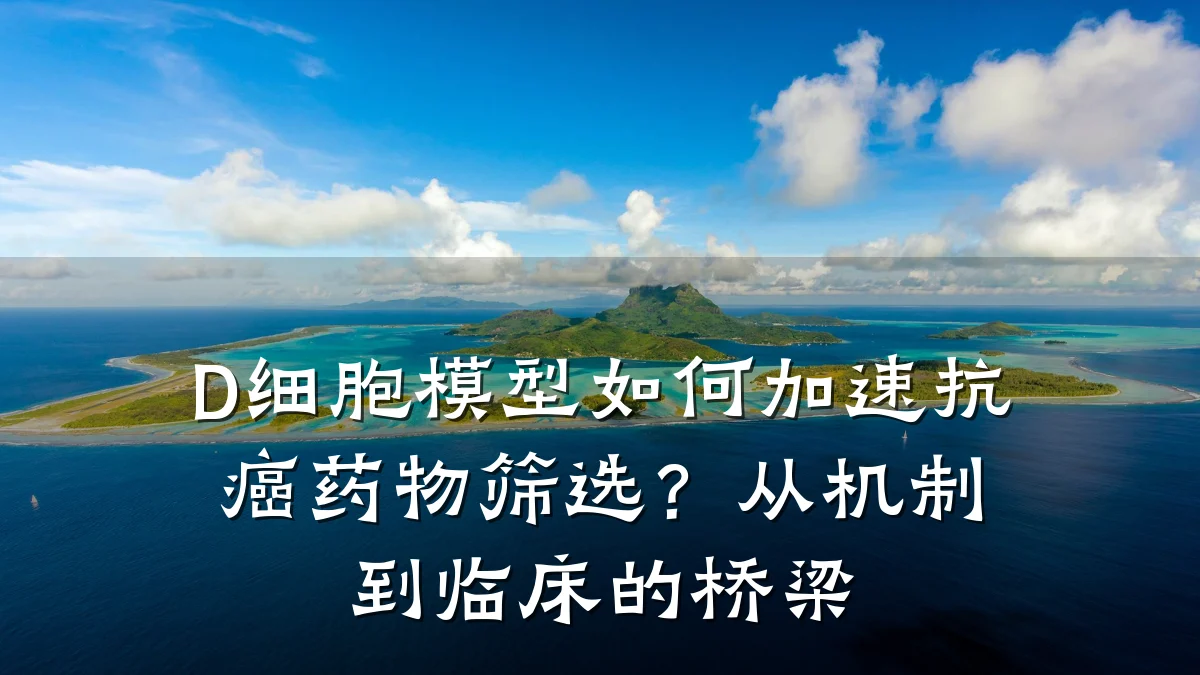 D细胞模型如何加速抗癌药物筛选?从机制到临床的桥梁