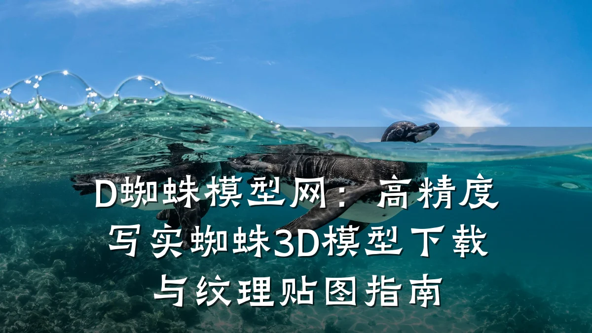 D蜘蛛模型网:高精度写实蜘蛛3D模型下载与纹理贴图指南