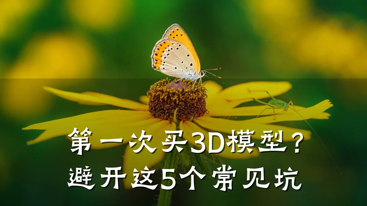 第一次买3D模型?避开这5个常见坑