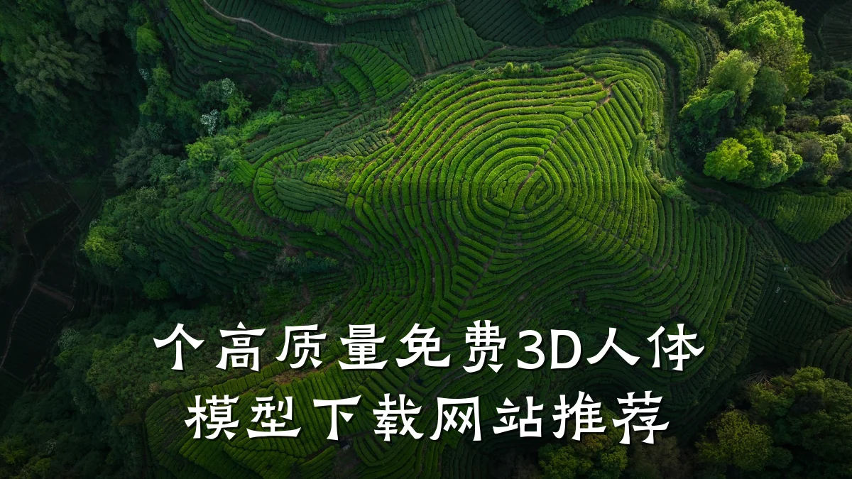 个高质量免费3D人体模型下载网站推荐