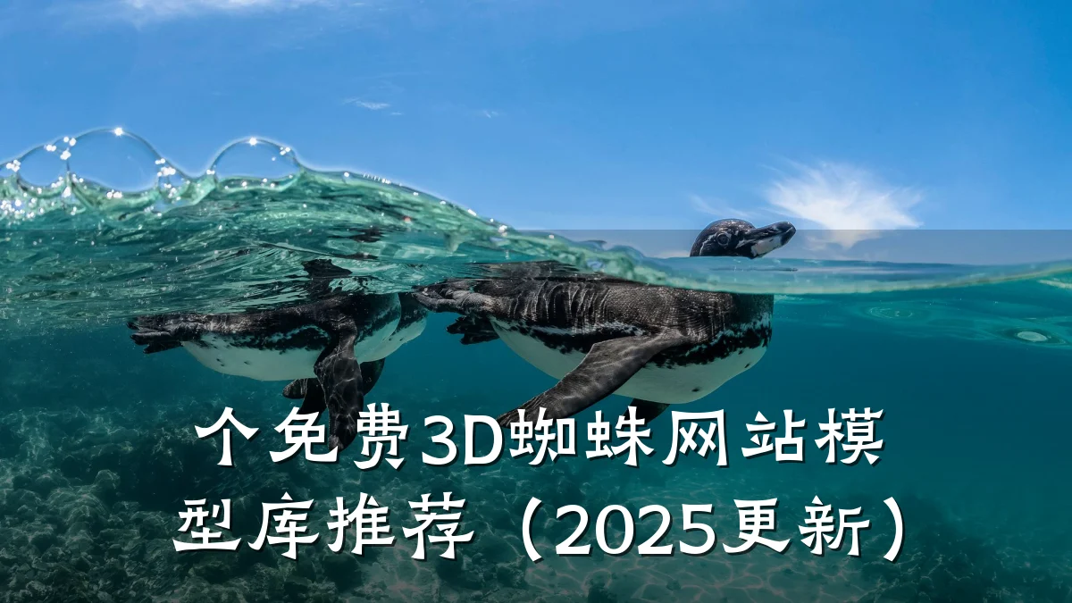 个免费3D蜘蛛网站模型库推荐（2025更新）