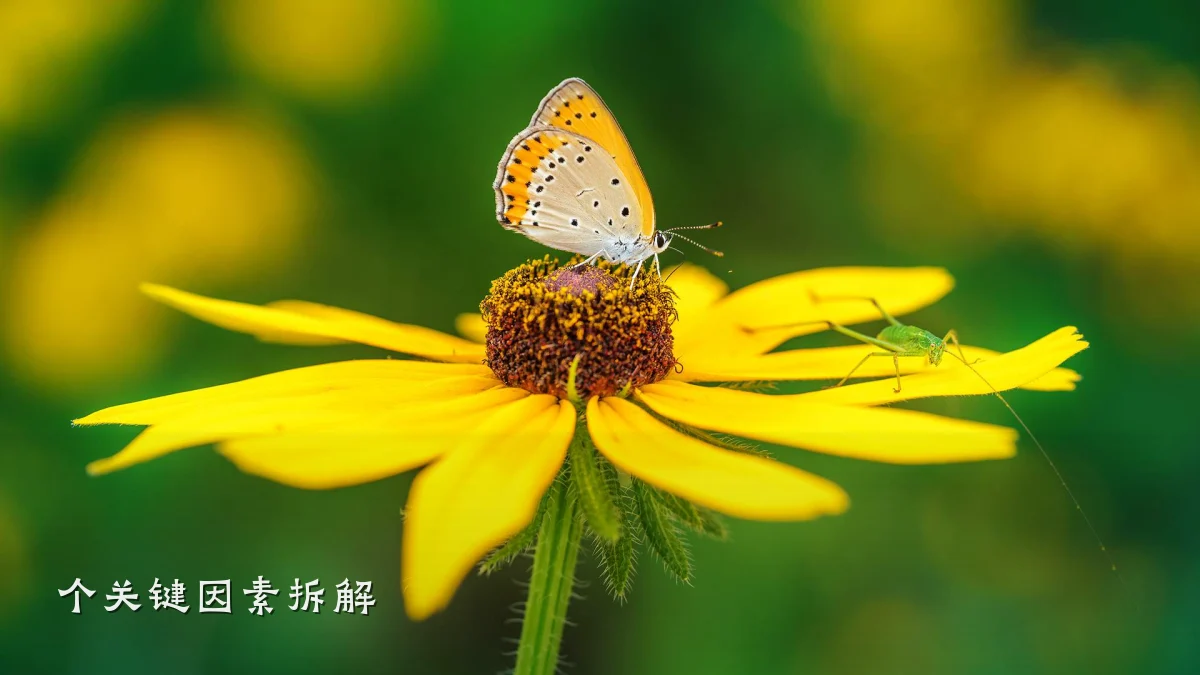 个关键因素拆解