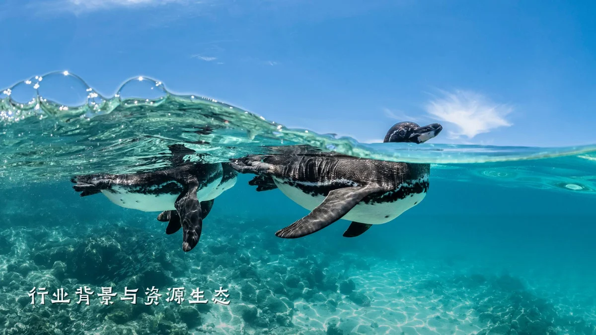 行业背景与资源生态