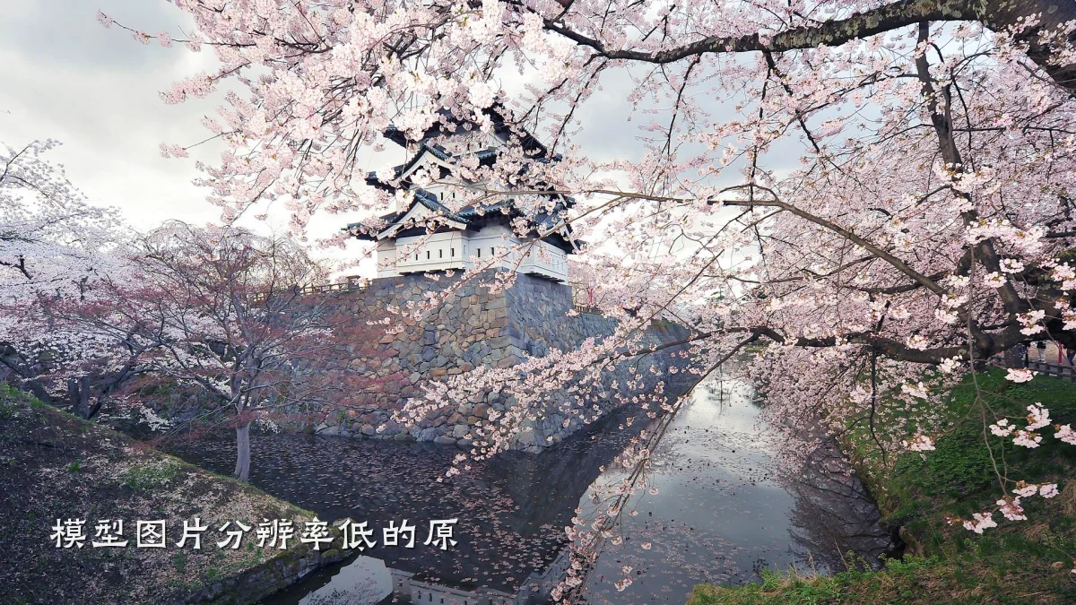 模型图片分辨率低的原
