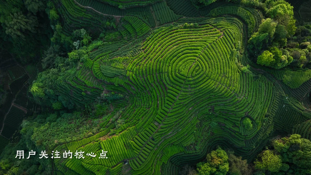用户关注的核心点