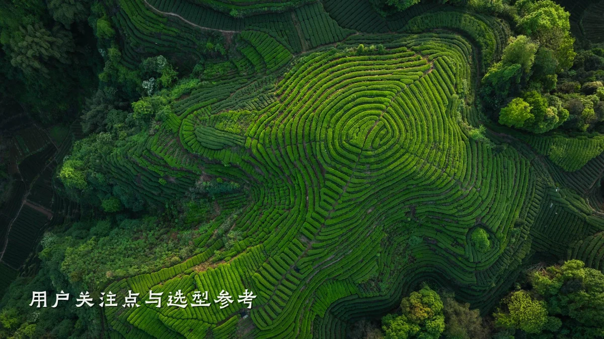 用户关注点与选型参考