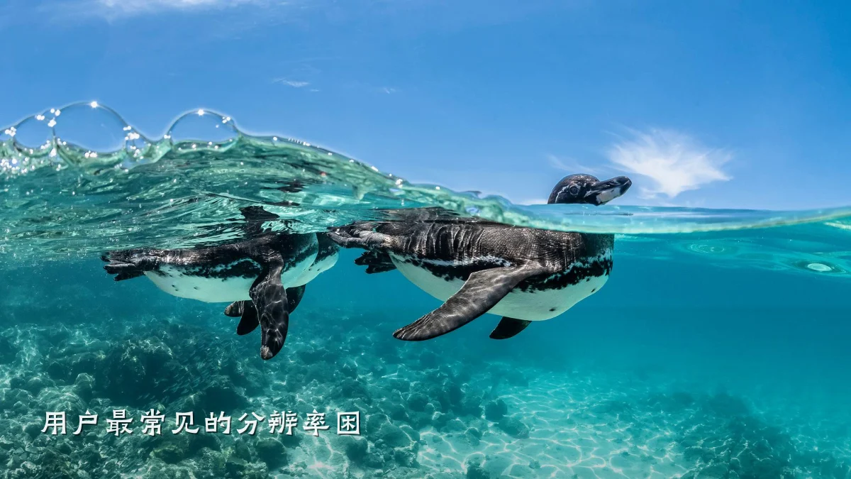 用户最常见的分辨率困
