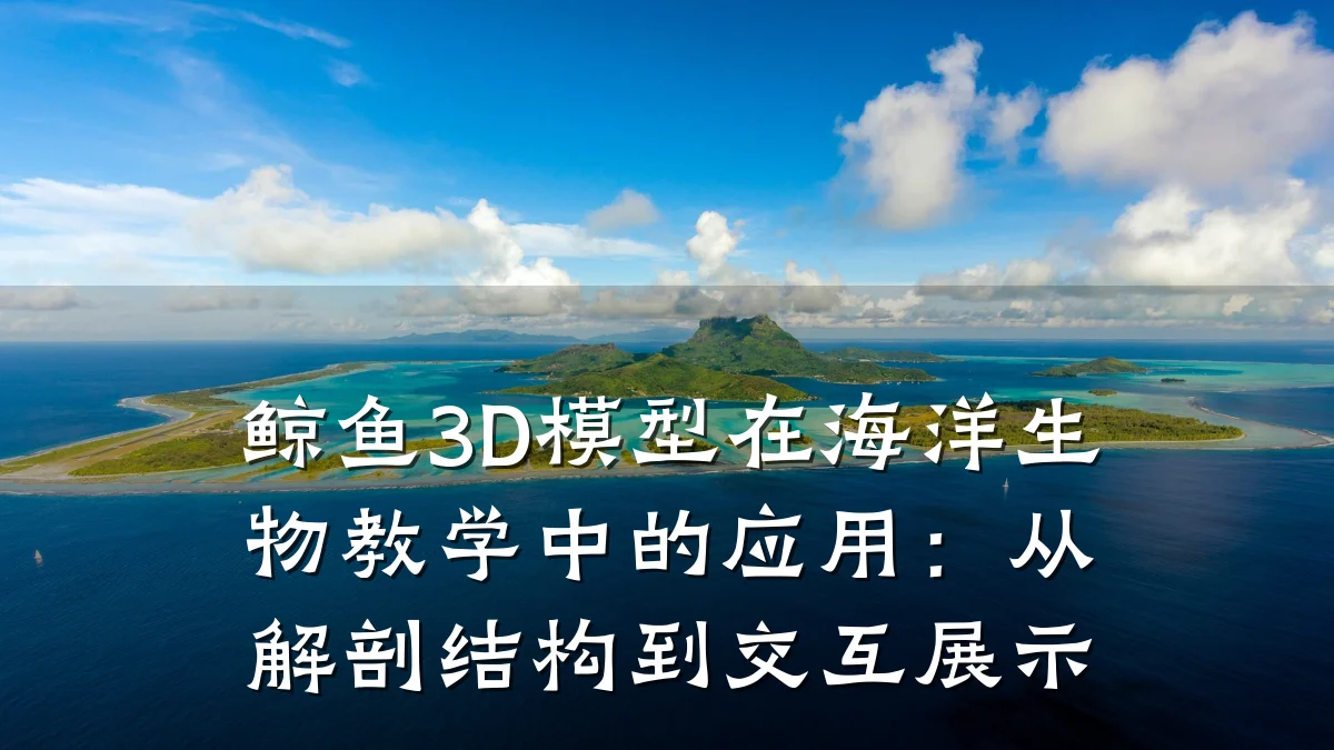 鲸鱼3D模型在海洋生物教学中的应用：从解剖结构到交互展示