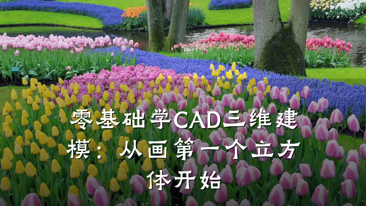 零基础学CAD三维建模:从画第一个立方体开始