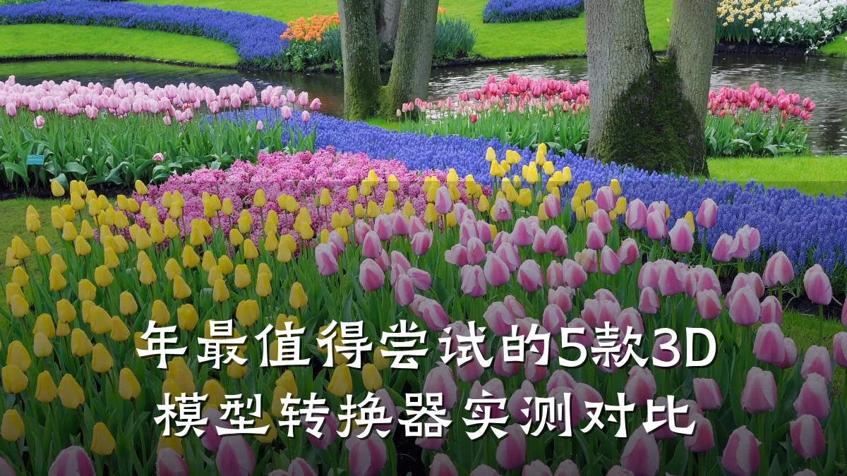 年最值得尝试的5款3D模型转换器实测对比