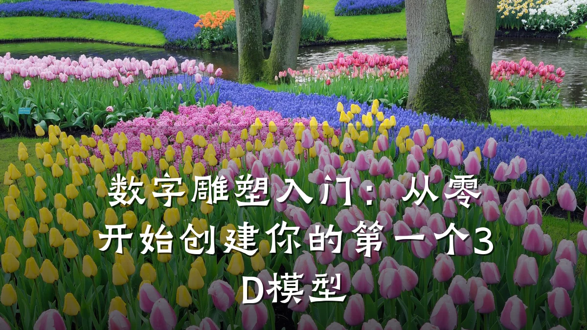 数字雕塑入门:从零开始创建你的第一个3D模型