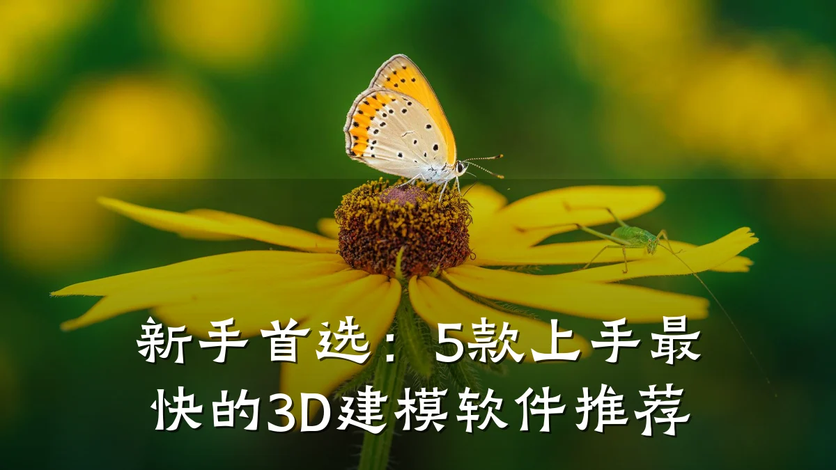 新手首选:5款上手最快的3D建模软件推荐