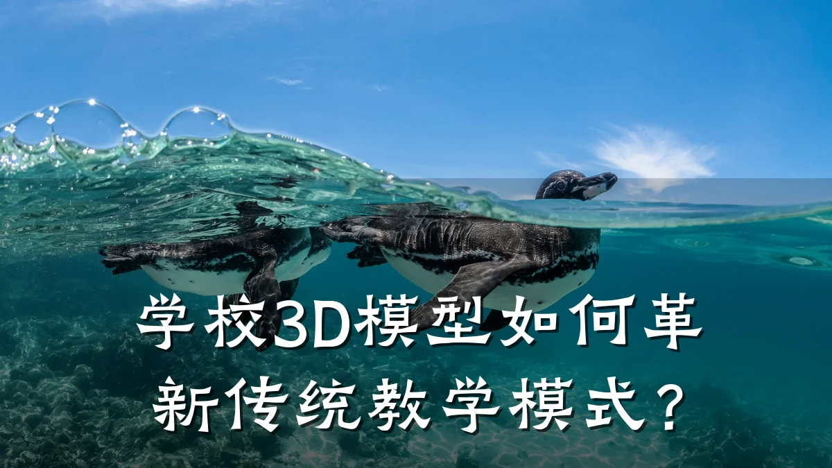 学校3D模型如何革新传统教学模式?