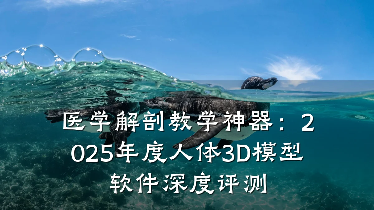 医学解剖教学神器:2025年度人体3D模型软件深度评测