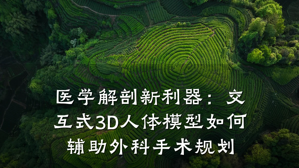 医学解剖新利器:交互式3D人体模型如何辅助外科手术规划