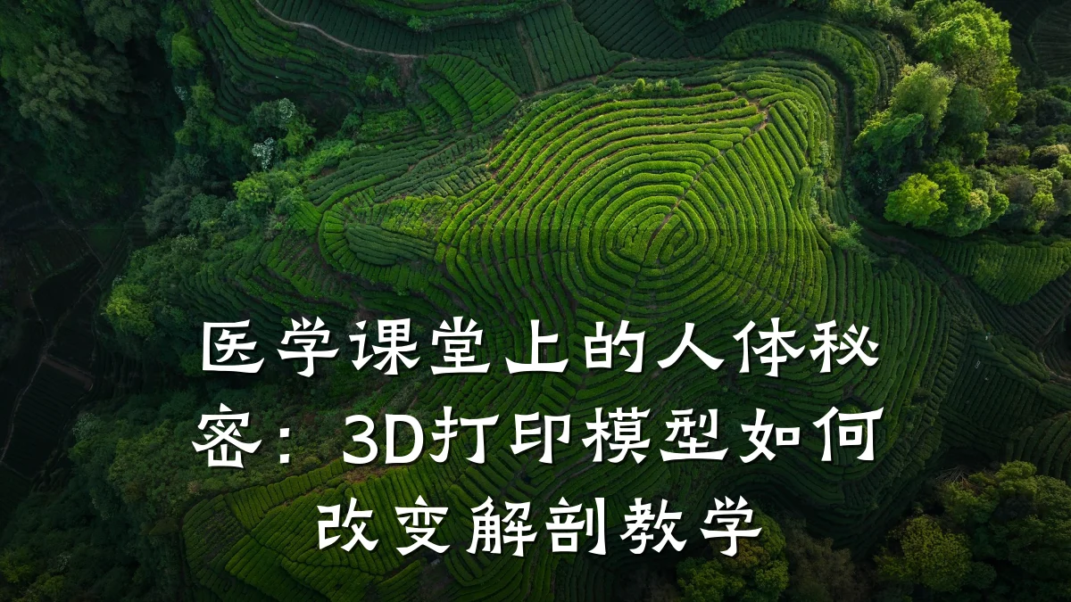 医学课堂上的人体秘密：3D打印模型如何改变解剖教学