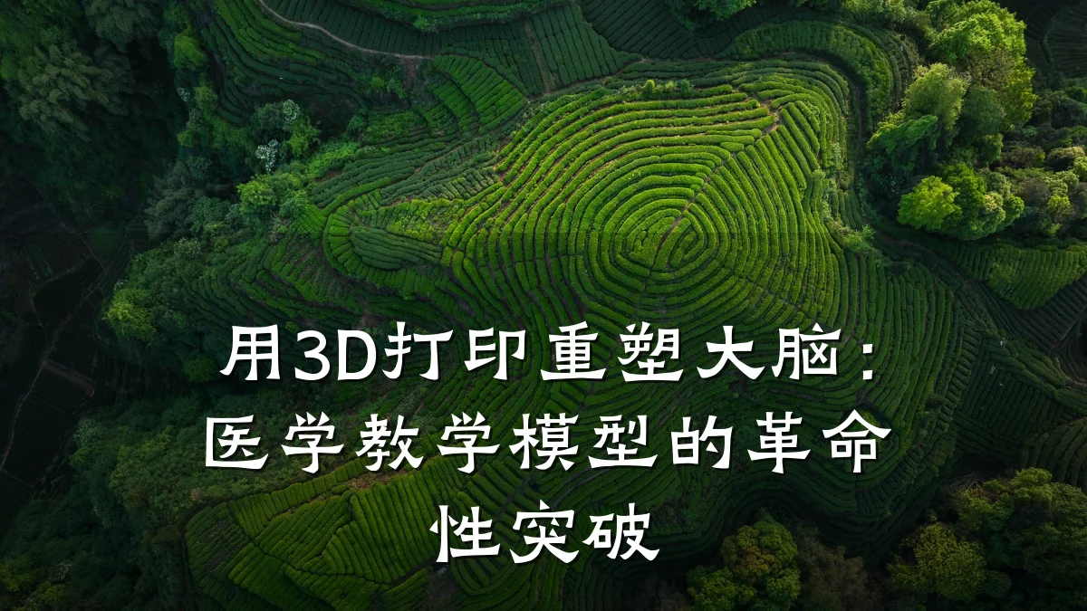 用3D打印重塑大脑:医学教学模型的革命性突破