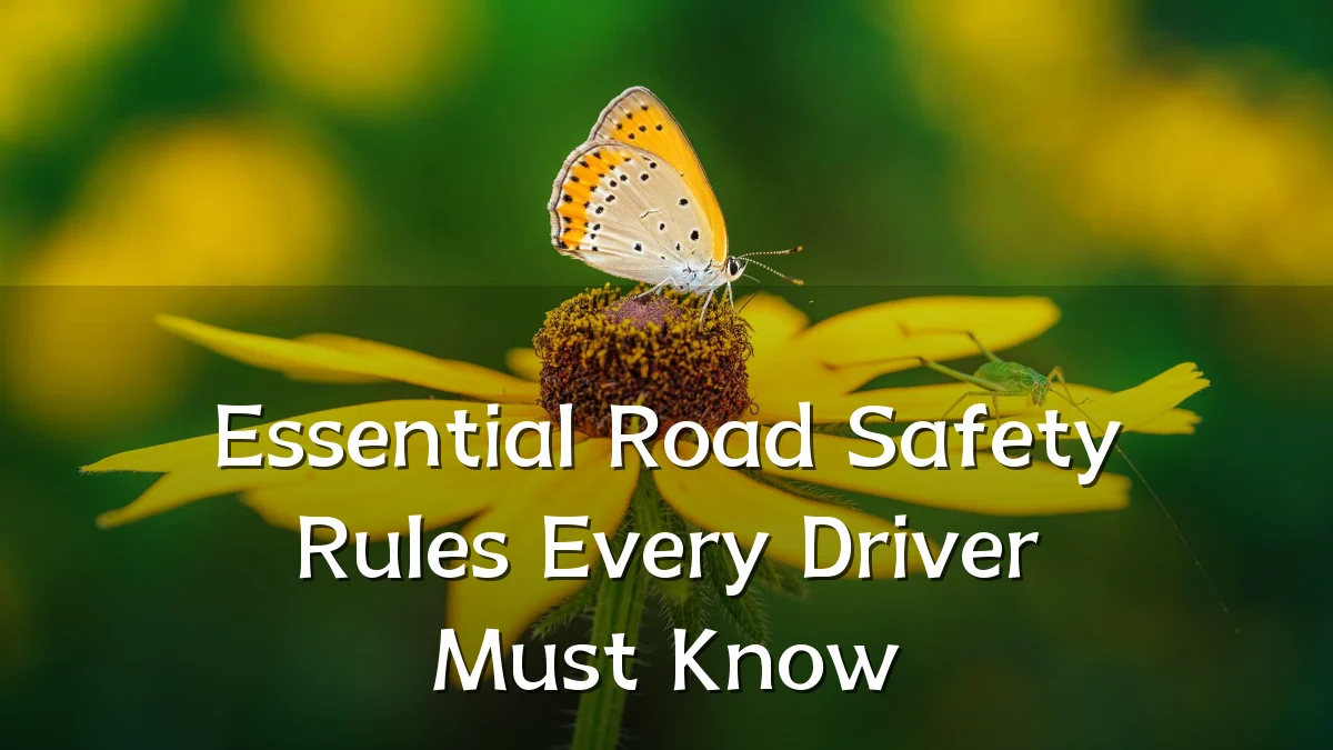 Essential Road Safety Rules Every Driver Must Know
