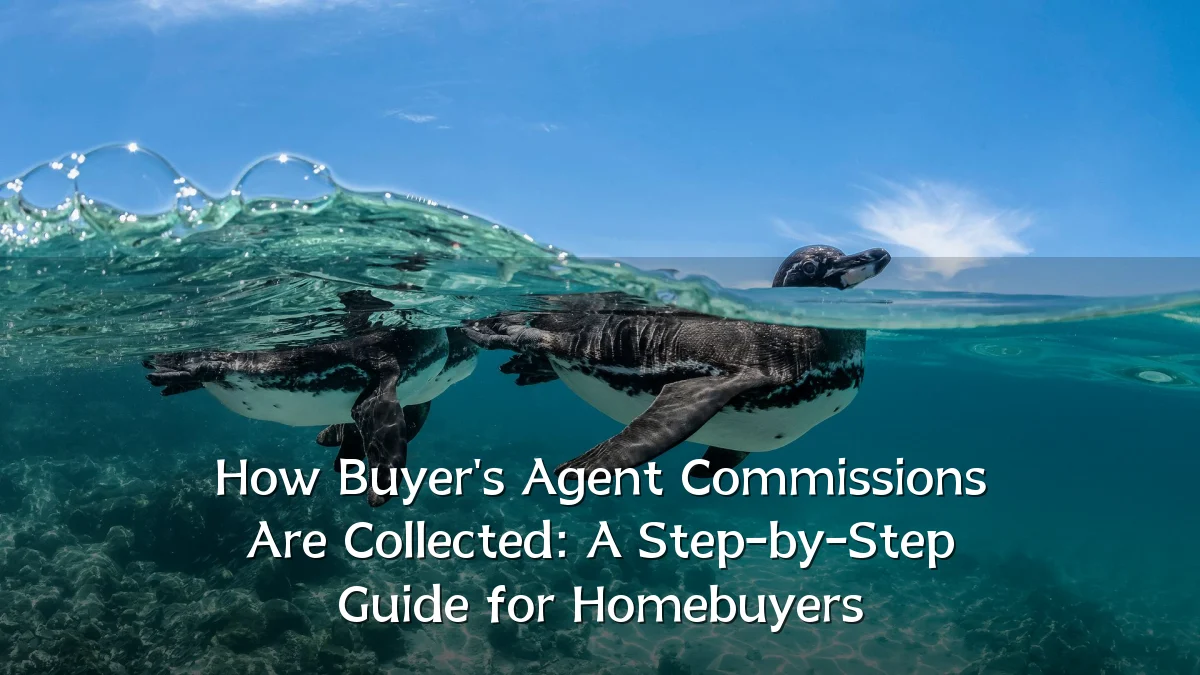 How Buyer's Agent Commissions Are Collected: A Step-by-Step Guide for Homebuyers