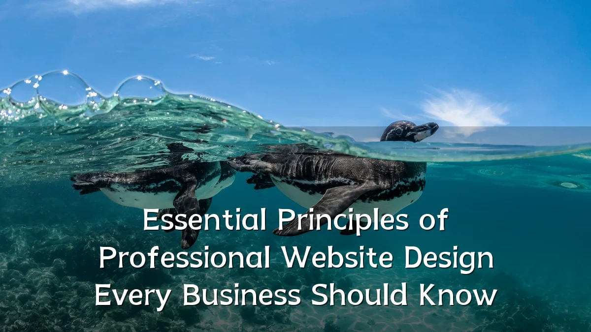 Essential Principles of Professional Website Design Every Business Should Know
