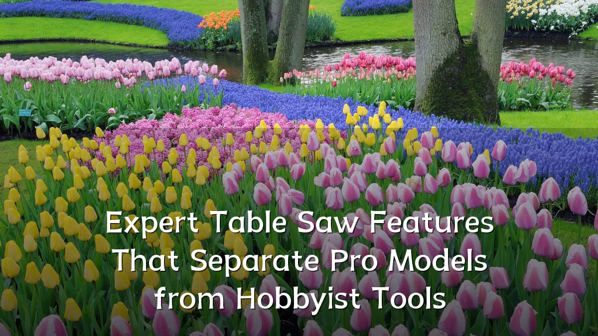 Expert Table Saw Features That Separate Pro Models from Hobbyist Tools