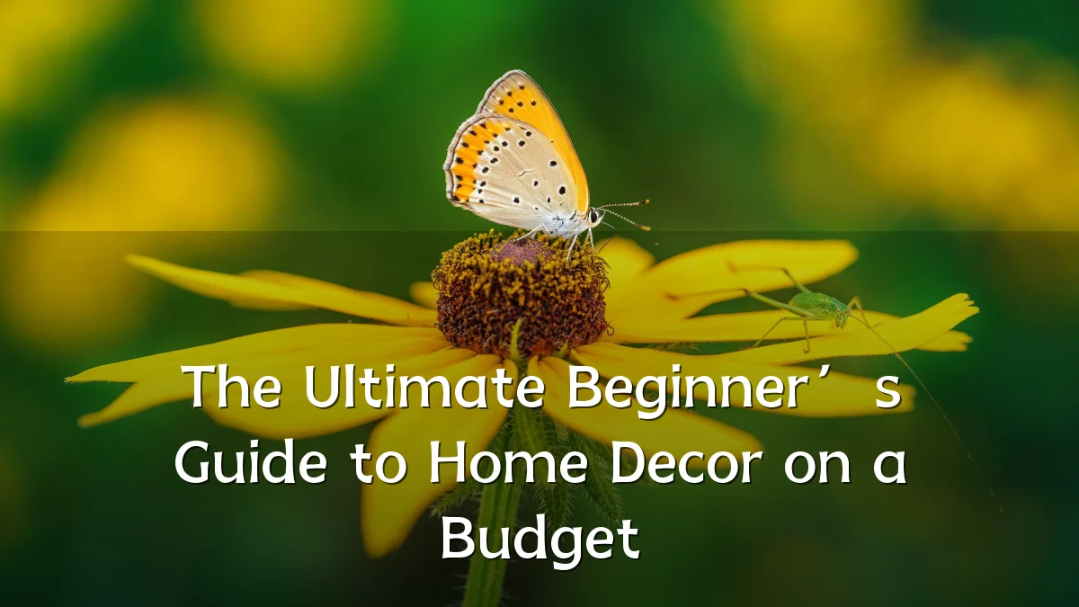 The Ultimate Beginner’s Guide to Home Decor on a Budget