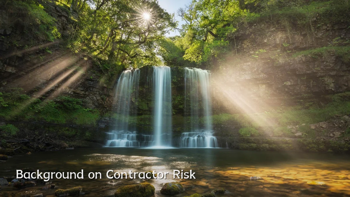 Background on Contractor Risk